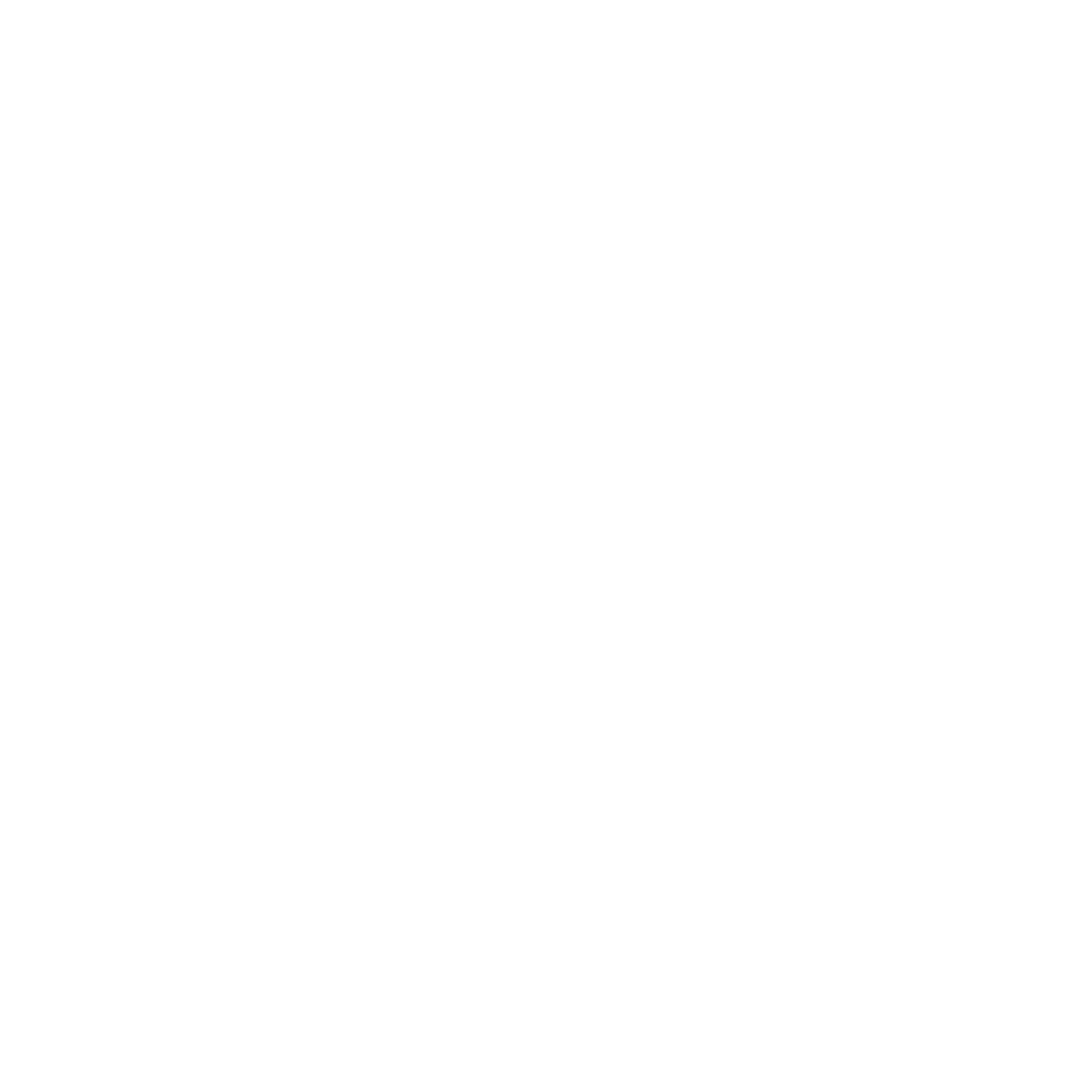 ___conciencia ahora